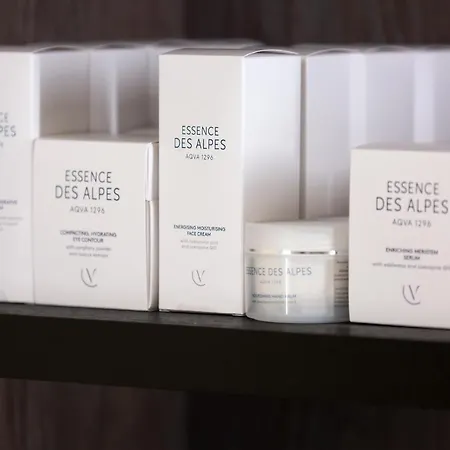 Ξενοδοχείο Bergman Mountain