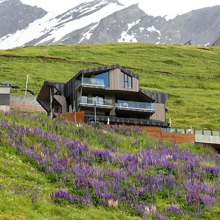 فندق Bergman Mountain 4*